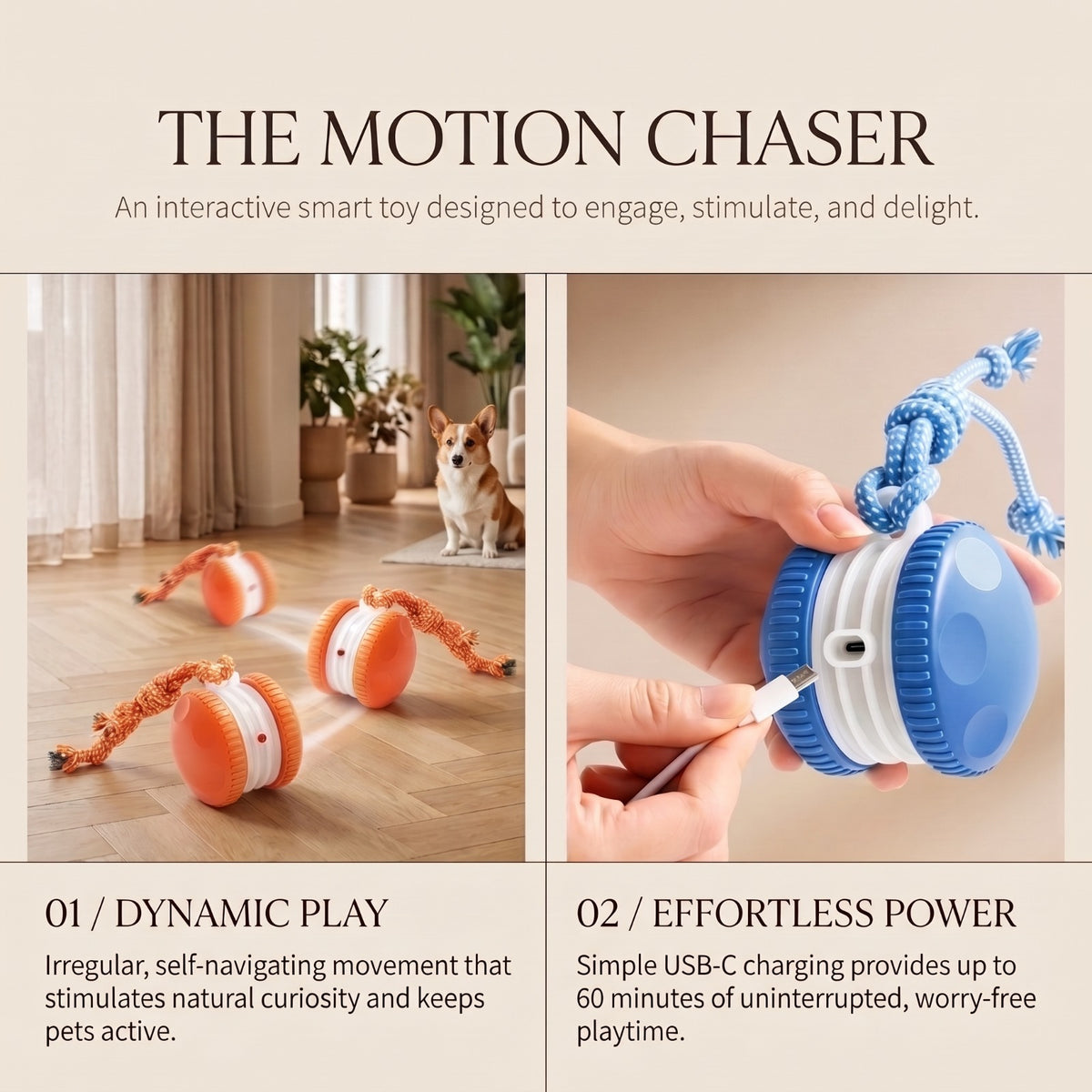 Rechargeable Interactive Rolling Ball & Rope Toy for Dogs
