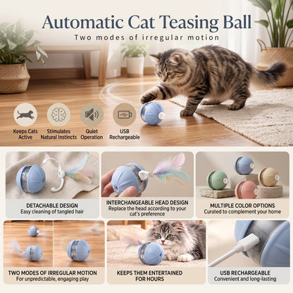 Rechargeable Interactive Cat Ball with Feather