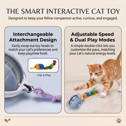 Rechargeable Interactive Cat Ball with Feather