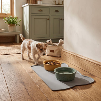 Silicone Pet Feeding Mat with Raised Spill Edge