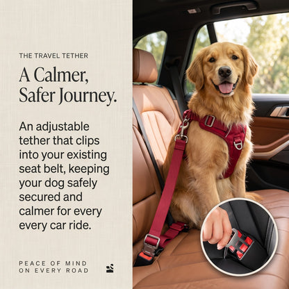 Adjustable Dog Car Seat Belt Tether for Travel