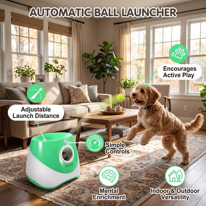 Automatic Dog Ball Launcher for Interactive Play
